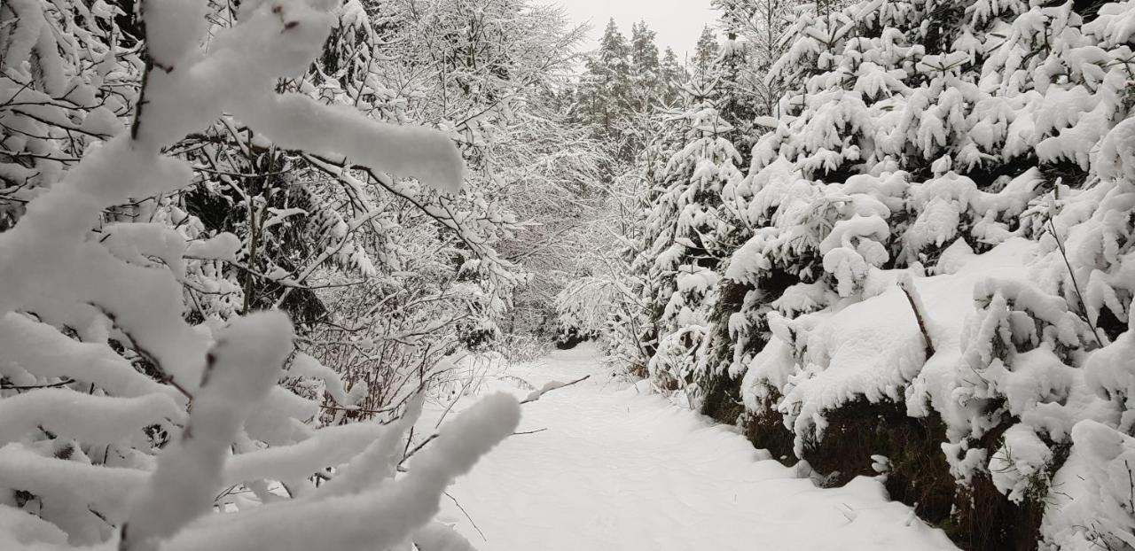 Podskali Adrspach Teplice nad Metují Dış mekan fotoğraf